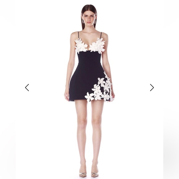 Bronx and Banco Dresses & Skirts - NEW BRONX AND BANCO EMMA MINI Black and White Floral Appliqué Mini Dress